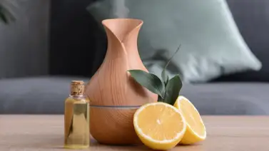 Ambientadores caseros con aroma a limón Ambientadores caseros con aroma a limón