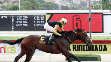 Amelazado va por su cuarta victoria al hilo en el José Antonio Páez