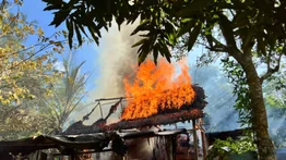 FANB desactiva 32 artefactos explosivos y destruye tres campamentos irregulares