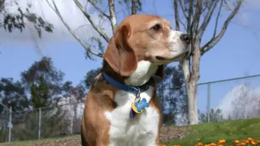 Importancia de las placas de identificación Importancia de las placas de identificación