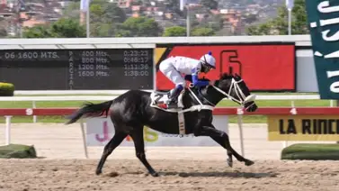 Jaime Lugo muy optimista con su conducido My Father Antonio Jaime Lugo muy optimista con su conducido My Father Antonio