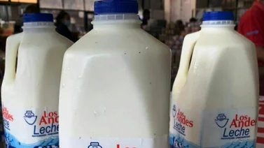 Lácteos Los Andes fortalece su proceso de producción de leche pasteurizada