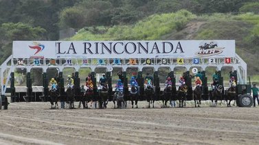Pruebas selectivas se disputarán este domingo en La Rinconada