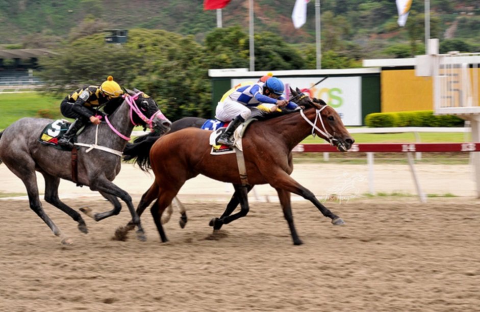 Pruebas selectivas se disputarán este domingo en La Rinconada Pruebas selectivas se disputarán este domingo en La Rinconada