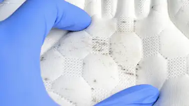 Formas de eliminar el moho del colchón Formas de eliminar el moho del colchón