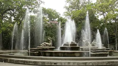 "Puro arte" en el parque Los Caobos "Puro arte" en el parque Los Caobos