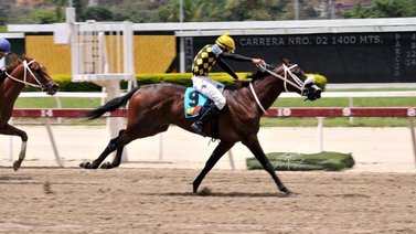 Germán Rojas saca la flota del MM este domingo en La Rinconada