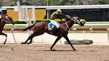 Germán Rojas saca la flota del MM este domingo en La Rinconada Germán Rojas saca la flota del MM este domingo en La Rinconada