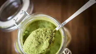 Moringa: una planta llena de propiedades medicinales Moringa: una planta llena de propiedades medicinales