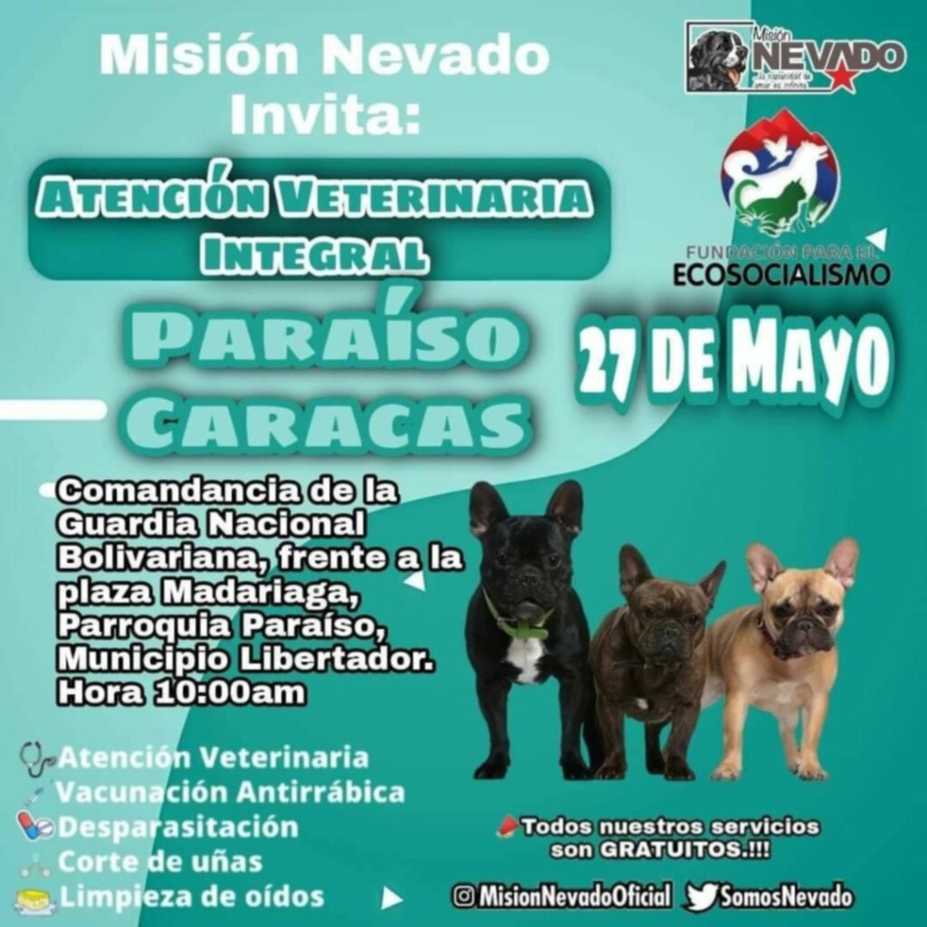 Misión Nevado: Jornada de atención veterinaria en Caracas Misión Nevado: Jornada de atención veterinaria en Caracas