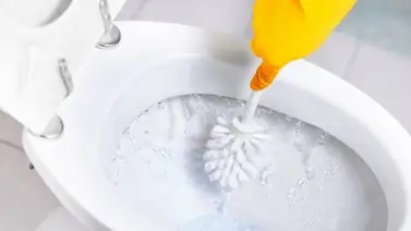 Con cuánta frecuencia se debe limpiar el inodoro Con cuánta frecuencia se debe limpiar el inodoro