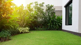 Grama que puedes tener en el jardín