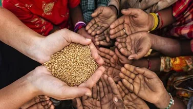 Anuncian más fondos para combatir el hambre global