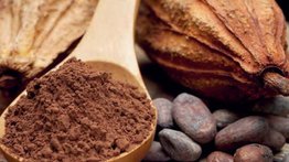 Anuncian concurso para chocolateros en el parque Bolívar de La Carlota