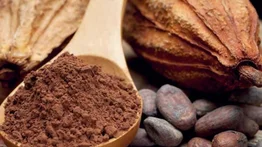 Anuncian concurso para chocolateros en el parque Bolívar de La Carlota