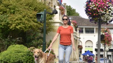 Cuáles son las mejores razas para ser un perro guía