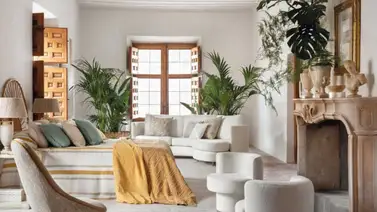 Tendencia que conecta con la naturaleza Tendencia que conecta con la naturaleza