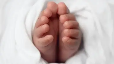 Padres denuncian a su hijo por no darles un nieto tras su matrimonio Padres denuncian a su hijo por no darles un nieto tras su matrimonio