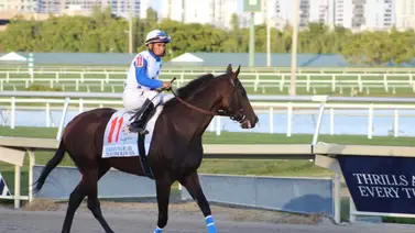 The Brother Slew va por el clásico Juan Arias The Brother Slew va por el clásico Juan Arias