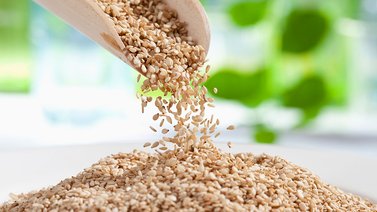 Ajonjolí: inclúyelo en las comidas y goza de sus beneficios