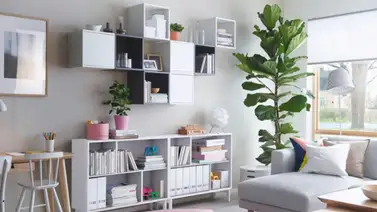 Armonía: equilibrio y orden en el hogar Armonía: equilibrio y orden en el hogar