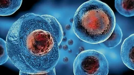 Células "estresadas" abren camino para prevenir las enfermedades neurodegenerativas