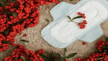 Protectores diarios y mitos sobre su uso Protectores diarios y mitos sobre su uso