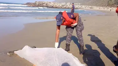 Hallan el cadáver de Poliguaicaipuro desaparecido en playa de La Guaira Hallan el cadáver de Poliguaicaipuro desaparecido en playa de La Guaira
