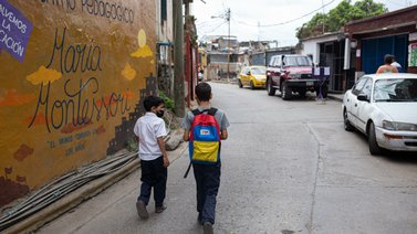 Proyecto El Bello Árbol Venezuela: Existe una nueva normalidad educativa