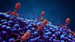 Hombre supera infección bacteriana con la ayuda de un virus