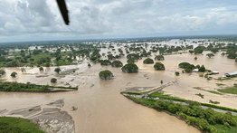 Reportan más de mil animales muertos en fincas productivas por lluvias en el país