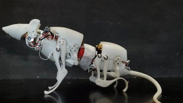 Científicos crean una rata robótica con movimientos de un roedor real