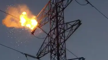 Joven murió electrocutado mientras recolectaba bambú Joven murió electrocutado mientras recolectaba bambú