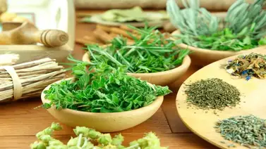 Las hierbas: realzan el sabor en las comidas Las hierbas: realzan el sabor en las comidas