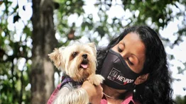 Congreso Animalista Municipal se realiza en Los Teques este viernes