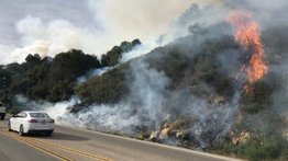 Evacuados 700 hogares en Arizona por incendio forestal