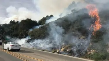 Evacuados 700 hogares en Arizona por incendio forestal Evacuados 700 hogares en Arizona por incendio forestal