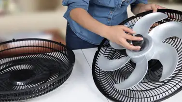 ¿Cómo mantener el ventilador en óptimas condiciones? ¿Cómo mantener el ventilador en óptimas condiciones?