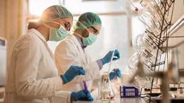 Descubren una nueva diana terapéutica para una leucemia agresiva