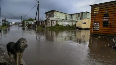 Sudáfrica declara estado de desastre nacional tras inundaciones Sudáfrica declara estado de desastre nacional tras inundaciones