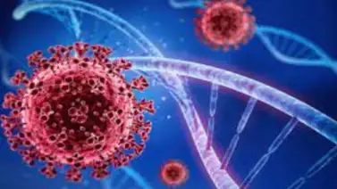 Segunda cumbre mundial sobre COVID-19 será el próximo 12 de mayo Segunda cumbre mundial sobre COVID-19 será el próximo 12 de mayo