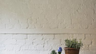 Conoce el chalk paint y cómo usarlo en casa