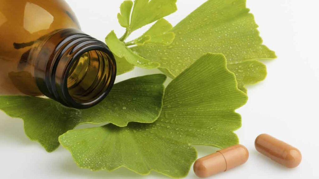 Ginkgo biloba: qué es y cuál es su función en el organismo