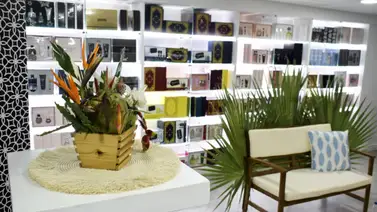 Area Parfums presentó su nueva línea para el cabello Area Parfums presentó su nueva línea para el cabello