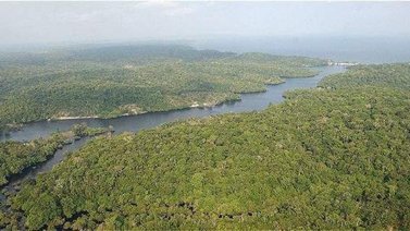 Convierten a Mamirauá en el Amazonas, en la primera reserva monitoreada