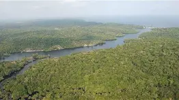 Convierten a Mamirauá en el Amazonas, en la primera reserva monitoreada