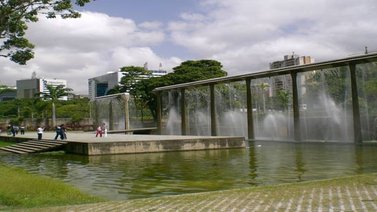 Turquía impulsa proyectos de reforestación en parques de Caracas