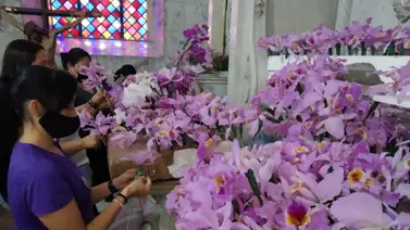 Devotos llevan 4 mil orquídeas al Nazareno de San Pablo Devotos llevan 4 mil orquídeas al Nazareno de San Pablo