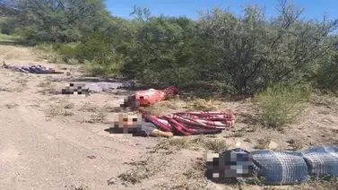 Encuentran seis cuerpos sin vida en Zacatecas, México Encuentran seis cuerpos sin vida en Zacatecas, México