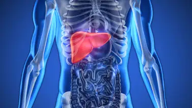 Mejor diagnóstico para las enfermedades hepáticas Mejor diagnóstico para las enfermedades hepáticas